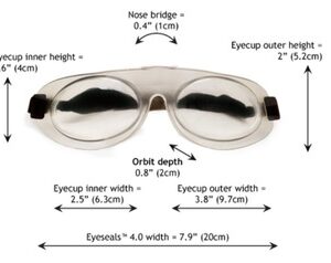 Eyes-Seals-2.jpeg